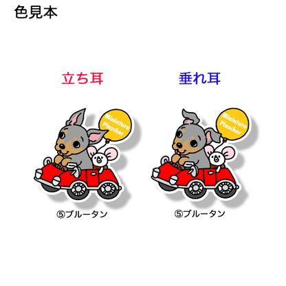 ミニピンちゃんの楽しいドライブ。113-5