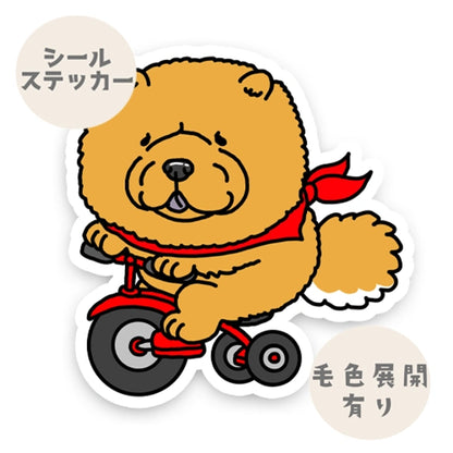 三輪車で走り続けるチャウチャウちゃん。59-3