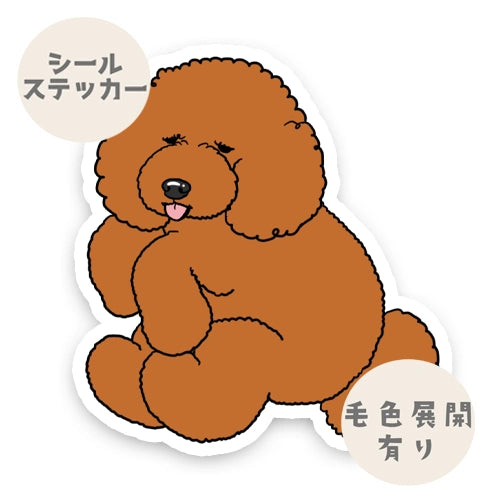だっこされてるスタンダードプードルちゃん。127-