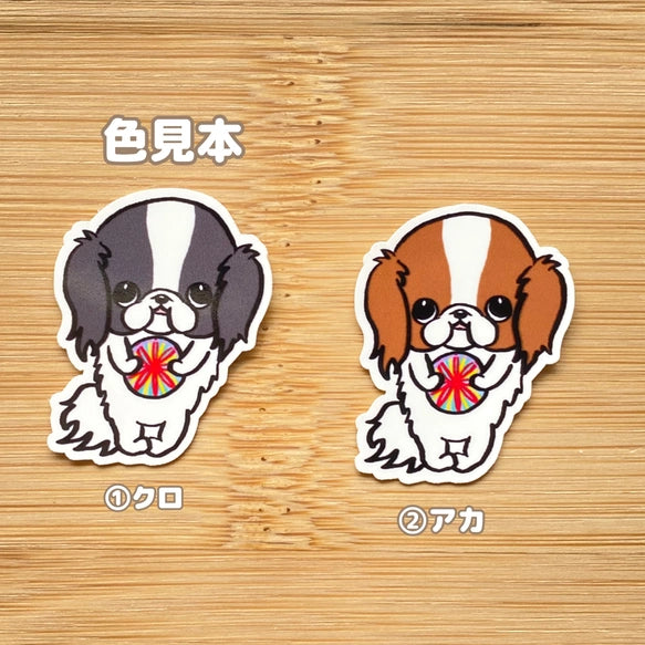 毬で遊びたい狆ちゃん。66-3
