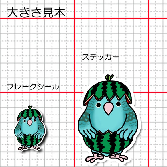 スイカサザナミインコちゃん。