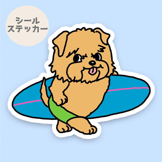 サーファーノーフォークテリアちゃん。73-