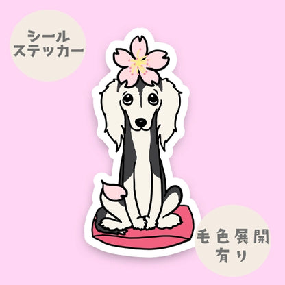 サルーキさんの春のご挨拶。34-5