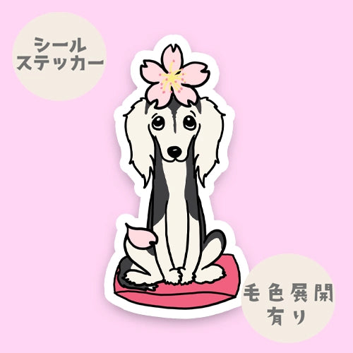 サルーキさんの春のご挨拶。34-5