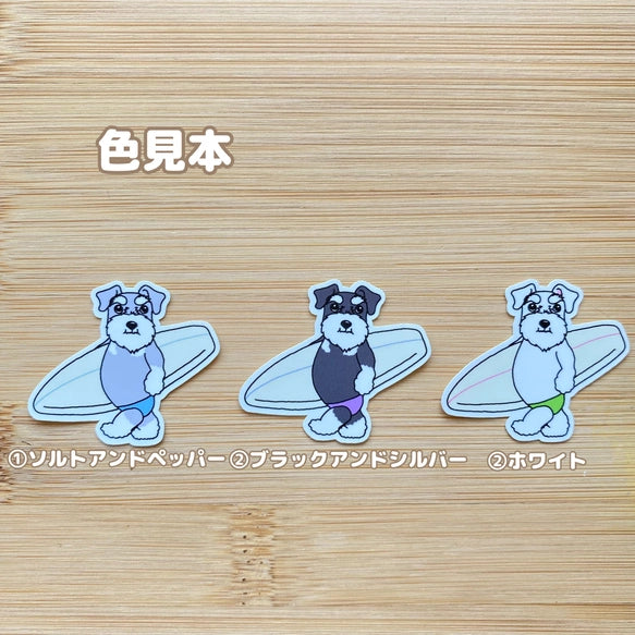 サーファーシュナウザーちゃん。44-24
