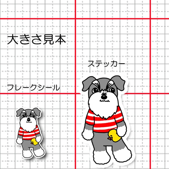 おしゃれボーダーのシュナちゃん。44-13