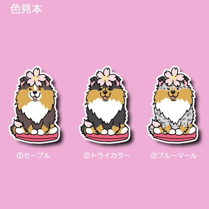 シェルティちゃんの春のご挨拶。38-3