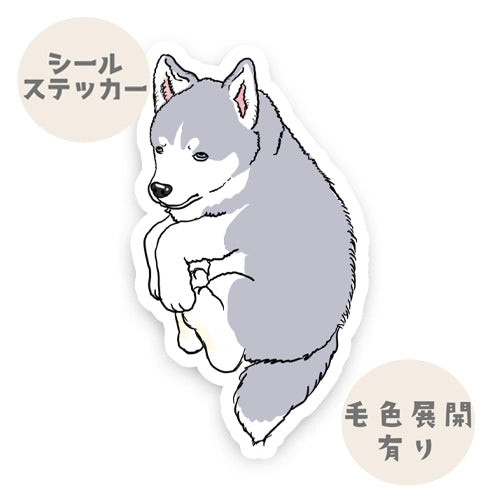 だっこされてるハスキーちゃん。40-3