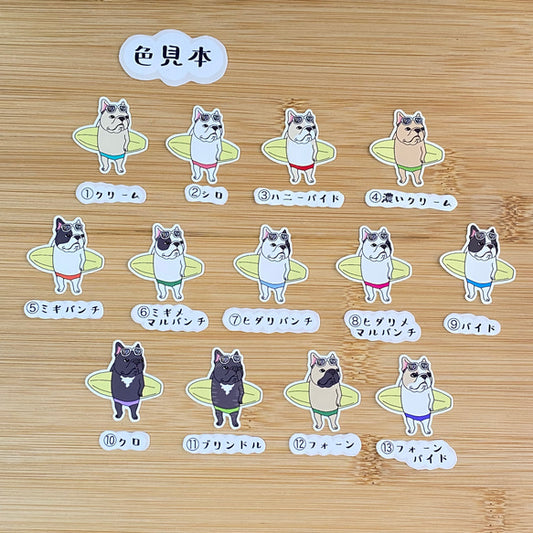 サーファーフレブルちゃん。96−127