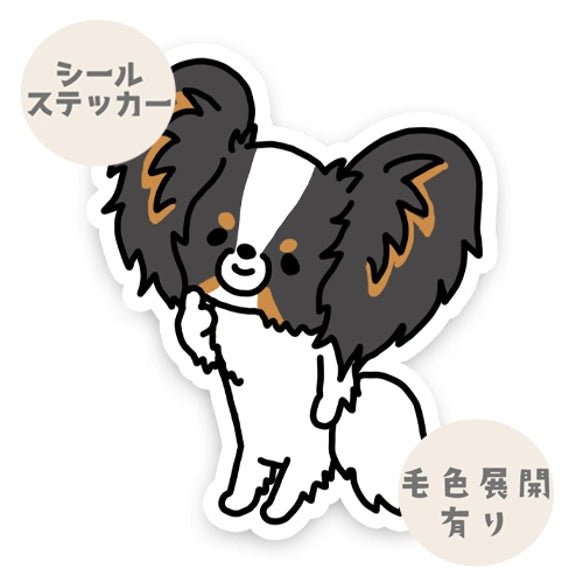 えっとねって言ってるパピヨンちゃん。80-