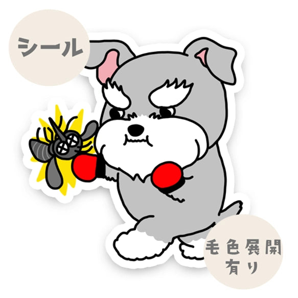 シュナウザーちゃんのフィラリア予防。44-30