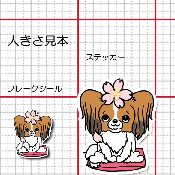 パピヨンちゃんの春のご挨拶。80-