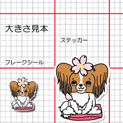 パピヨンちゃんの春のご挨拶。80-