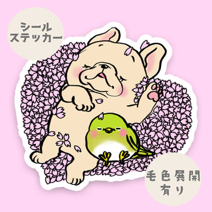 桜のクッションでスヤスヤフレブルちゃん。96−248