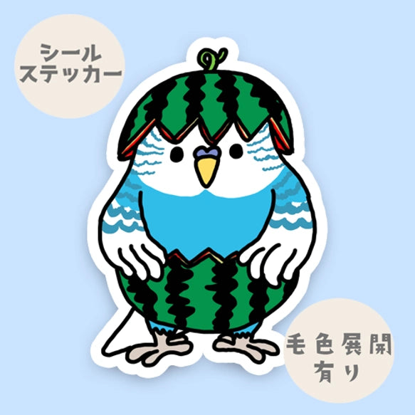 スイカセキセイインコちゃん。