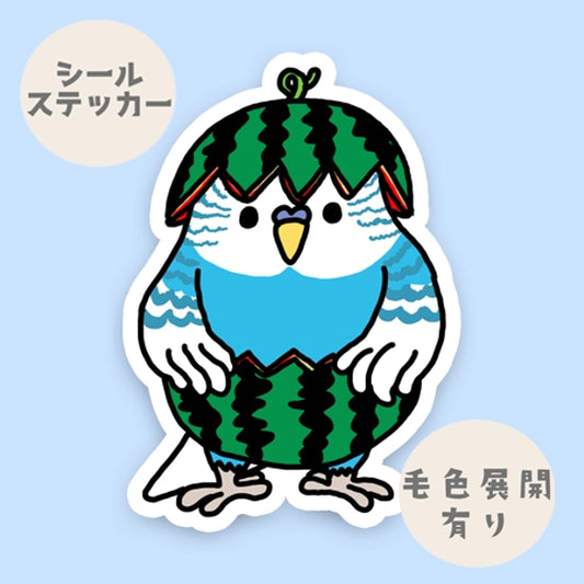 スイカセキセイインコちゃん。