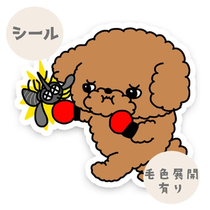 プードルちゃんのフィラリア予防。87-