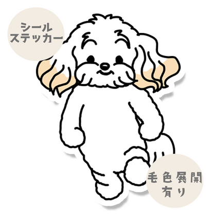 うきうきマルプーちゃん。111-3