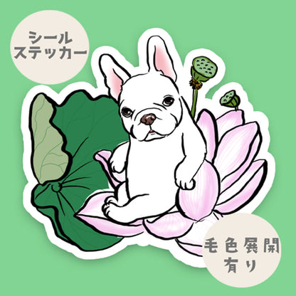 ハスノハナとフレブルちゃん。96−125