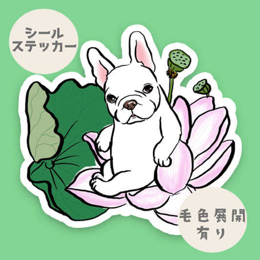 ハスノハナとフレブルちゃん。96−125