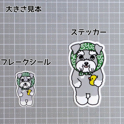 ほっかむりのシュナウザーちゃん。44-5