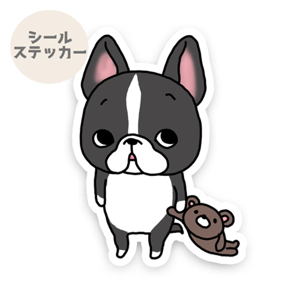 遊んでほしいと思ってるボストンテリアちゃん。101-