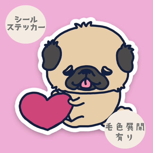 キモチを伝えたいペキニーズちゃん。　97-