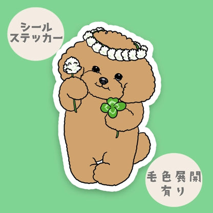 シロツメクサの花冠のプードルちゃん。87-