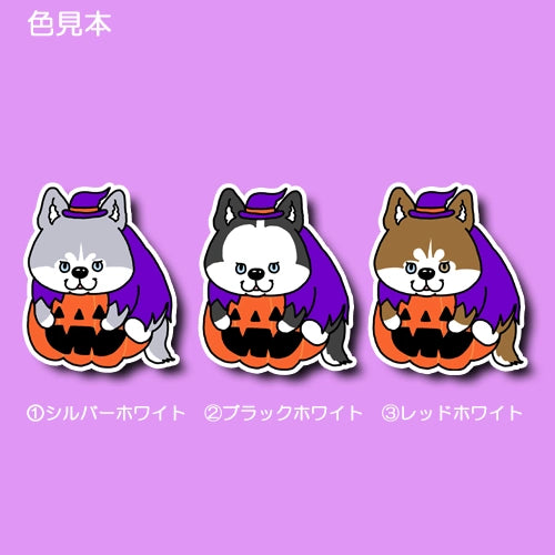 オバケカボチャとハスキーさん。40-6