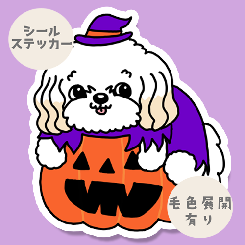 オバケカボチャとマルプーちゃん。111-18