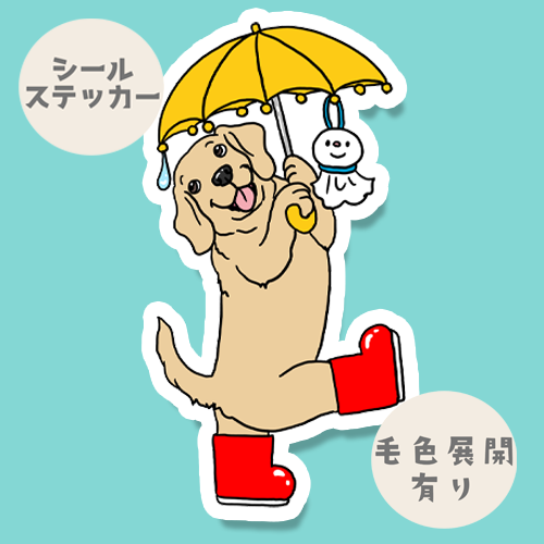 梅雨のお散歩のラブラドールさん。117-23