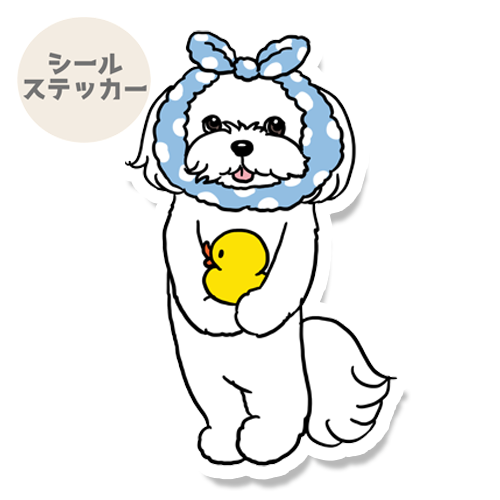 お風呂上がりのマルチーズちゃん。109-25