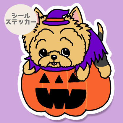 オバケカボチャとヨーキーちゃん。114-16