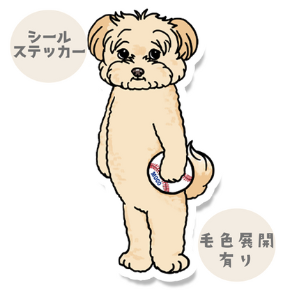 遊んでほしいポメプーちゃん。103-14