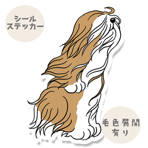 風に吹かれるラサアプソちゃん。115-5