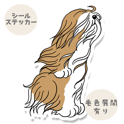 風に吹かれるラサアプソちゃん。115-5