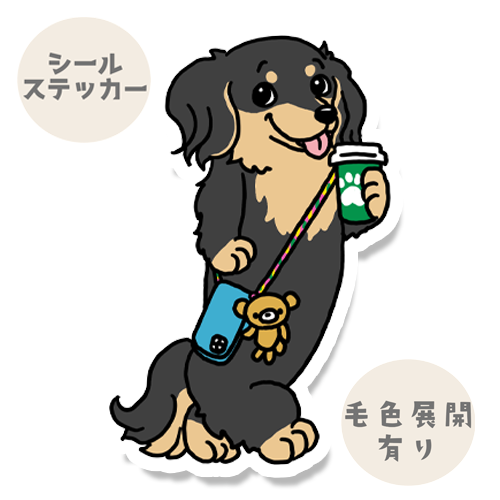 おでかけチワックスちゃん。60-3