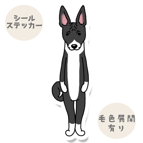 たたずむバセンジーさん。78-5