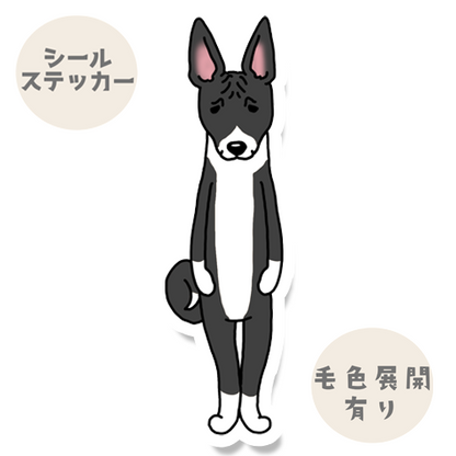 たたずむバセンジーさん。78-5