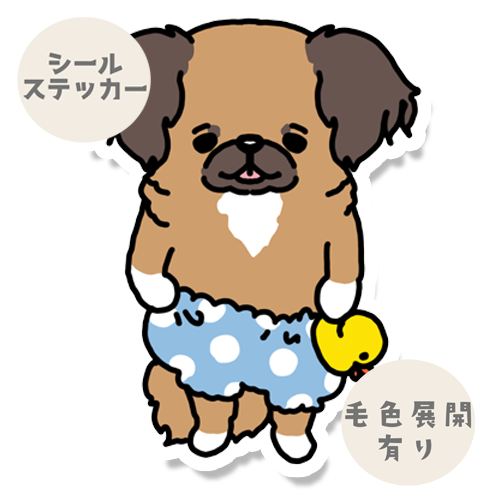 お気に入りのアヒルさんとチワペキちゃん。62-14