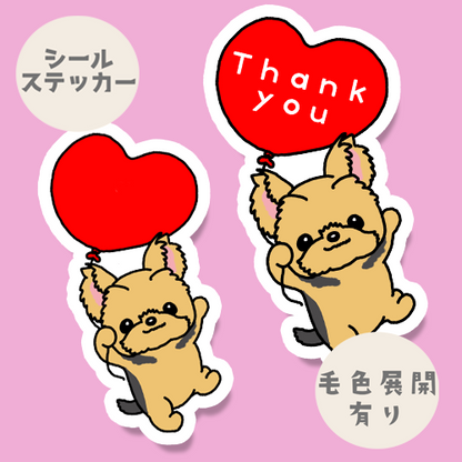 ありがとうの気持ちを伝えたいヨーキーちゃん。114-4