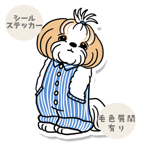 オーバーオールのマルシーズーちゃん。108-3