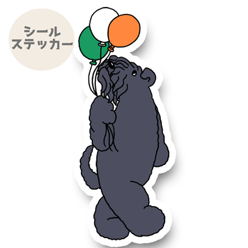アイルランドのケリーブルーテリアさん。30-5