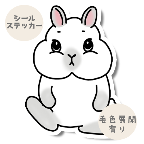 見つめるネザーランドドワーフちゃん。185-3