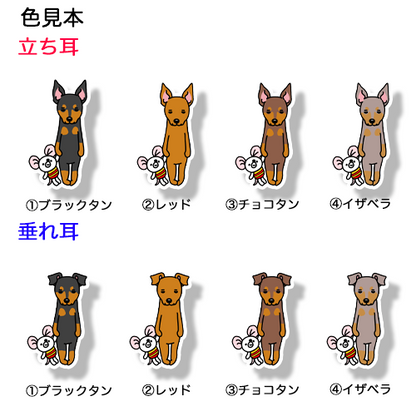いい子でお留守番してるミニピンちゃん。113-6