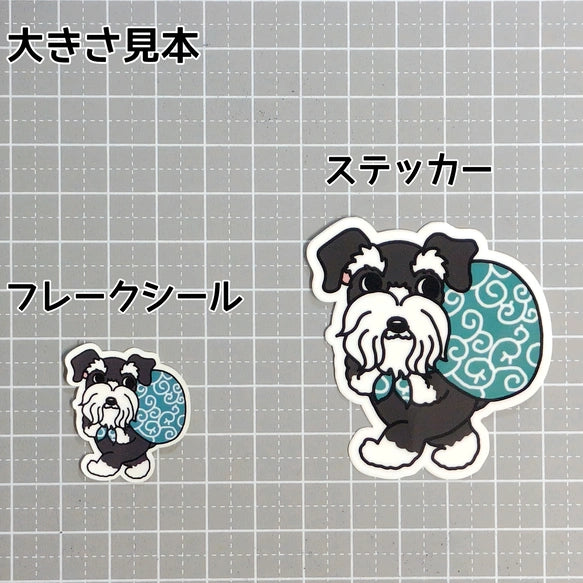 忍び足のシュナウザーちゃん。44-3