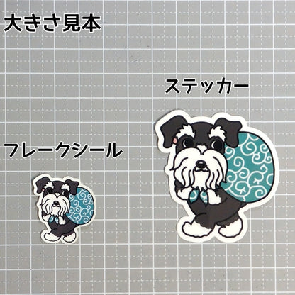 忍び足のシュナウザーちゃん。44-3