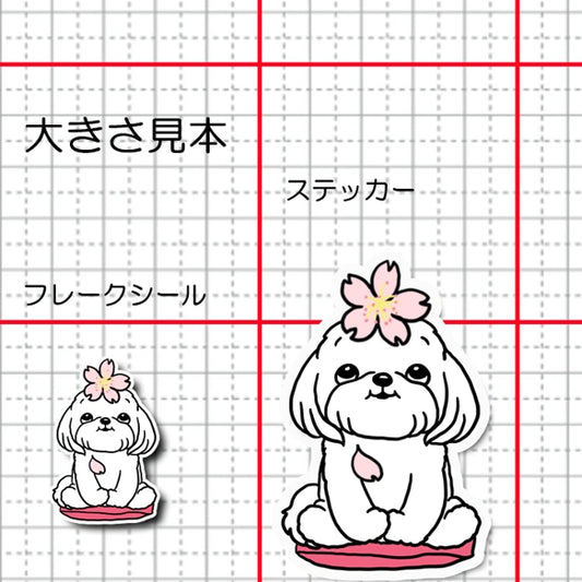 マルチーズちゃんの春のご挨拶。109-