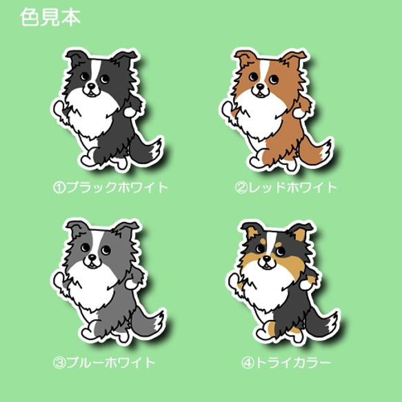 ルンルンボーダーコリーちゃん。106-