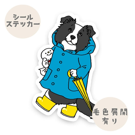晴れてほしいボーダーコリーさん。106-